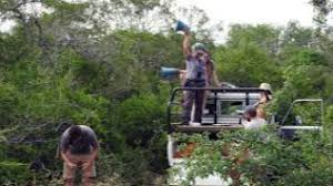 Wildlife Management